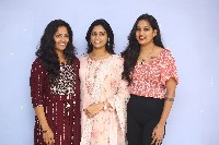 Vadevadu Veedevadu Mana Premaku Aadevadu Movie Press Meet